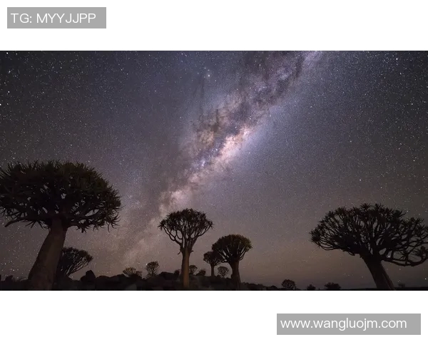 泊头足球明星的璀璨星空与他们的成长故事分享