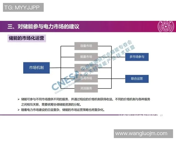 体育产品的多元化分类探讨及其市场应用分析